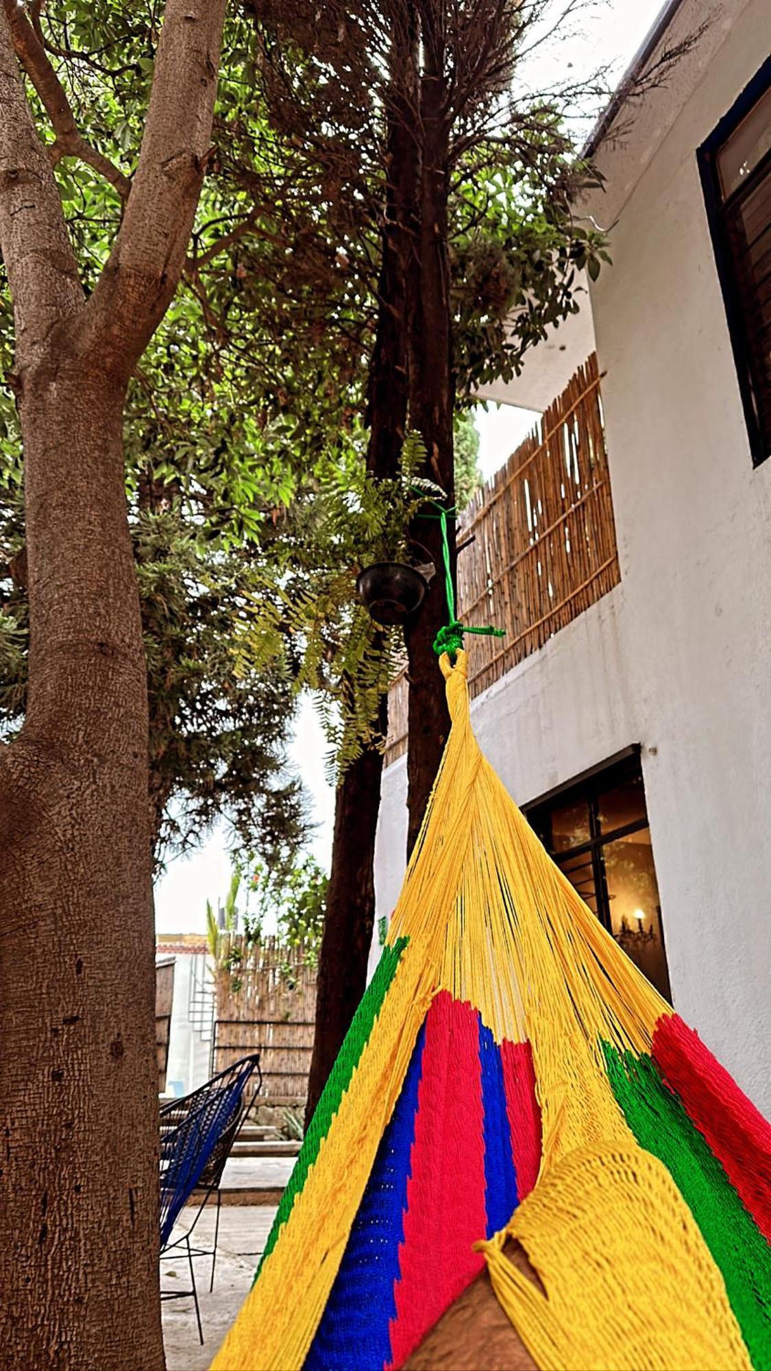 Xitla Hostel Oaxaca Eksteriør billede